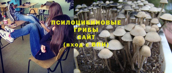 а пвп мука Алексеевка