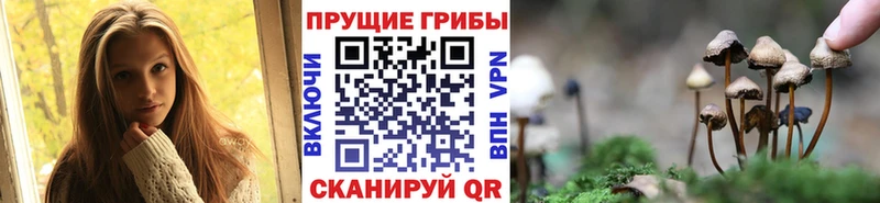 цена   Себеж  Псилоцибиновые грибы мухоморы 