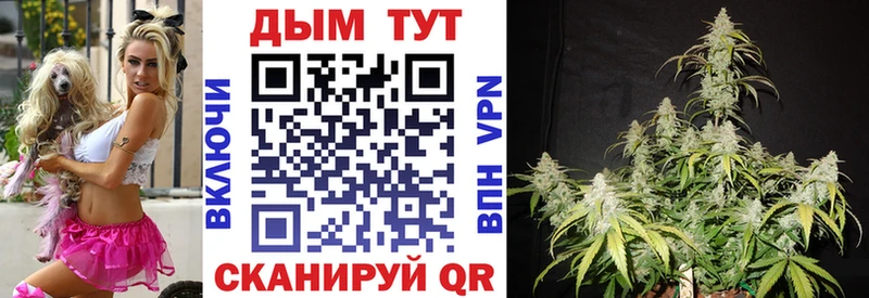 площадка какой сайт  Себеж  kraken маркетплейс  Шишки марихуана White Widow  купить закладку 